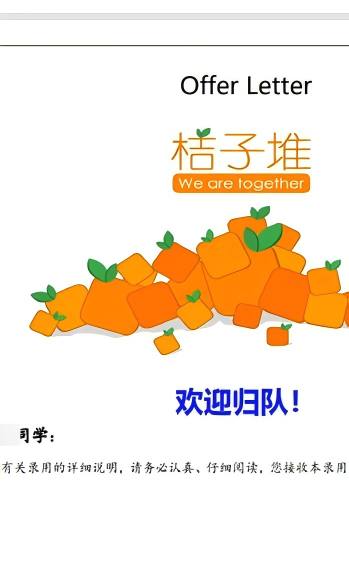 滴滴数据分析全职 Offer证明材料
