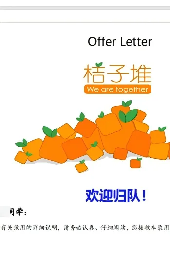滴滴数据分析全职 Offer证明材料