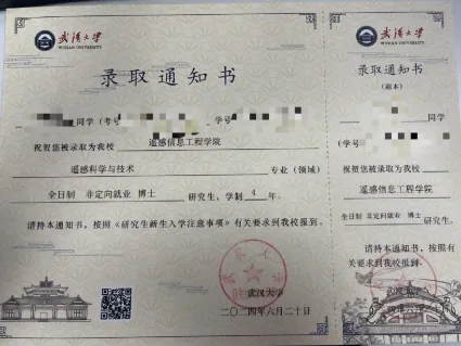 地理信息背景，转向遥感技术研究证明材料
